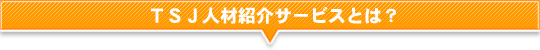 TSJ�l�ޏЉ�T�[�r�X�Ƃ́H
